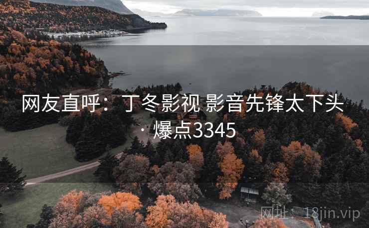 网友直呼：丁冬影视 影音先锋太下头 · 爆点3345